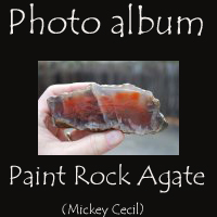 click here to check out Mickey's Pix