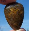 Gold Moss Cabochon cut from Ritchie Ranch Agate