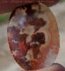 Plume agate Cabochon