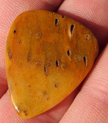 This stone guitar pick is made out of petrified palmwood.