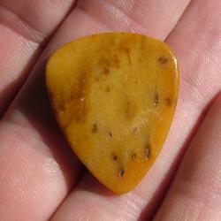 tan petrified palmwood carved into a guitar pick
