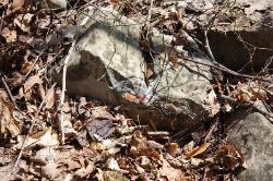 another paint rock agate in matrix