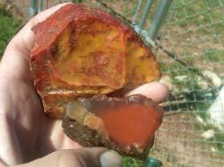 My best two from the dig-Rodney