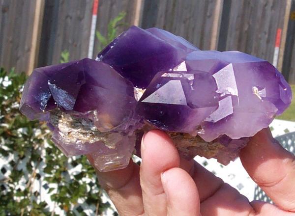Amethyst dug by Rodney Moore at Jackson's Crossroads.