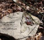 THIS SHOWS AGATE IN LIMESTONE MATRIX