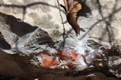 photo shows agate in matrix after I chiseled of a peice